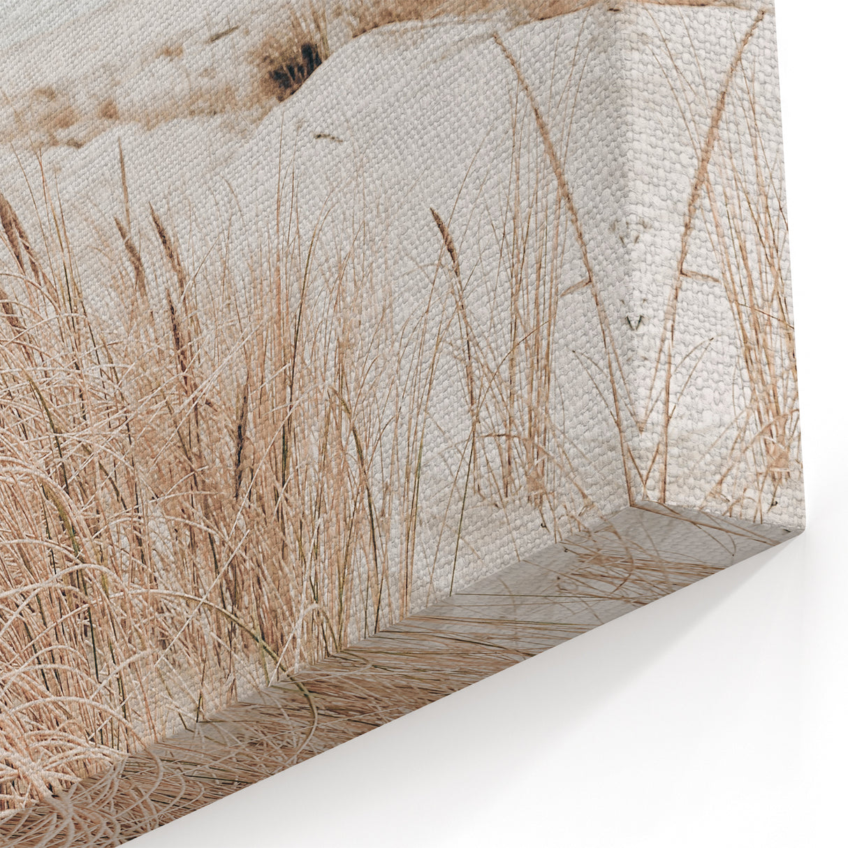 Summer Vibes Print - Coastal Sand Dunes Beach Art