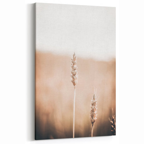 Floral Summer Art - Golden Wheat Minimalist Canvas