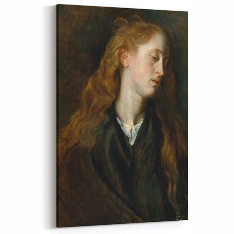 Baroque Portrait of a Woman - Elegant Rococo and Historical Art