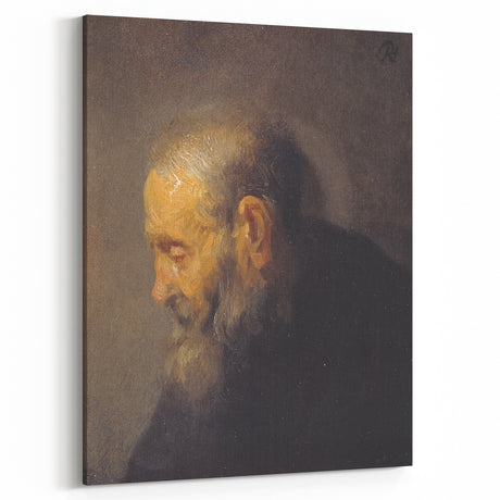 Baroque Portrait of an Elderly Man - Historical and Timeless Art