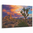 Sunset Over Desert Landscape with Joshua Trees – Fields Panorama Wall Decor
