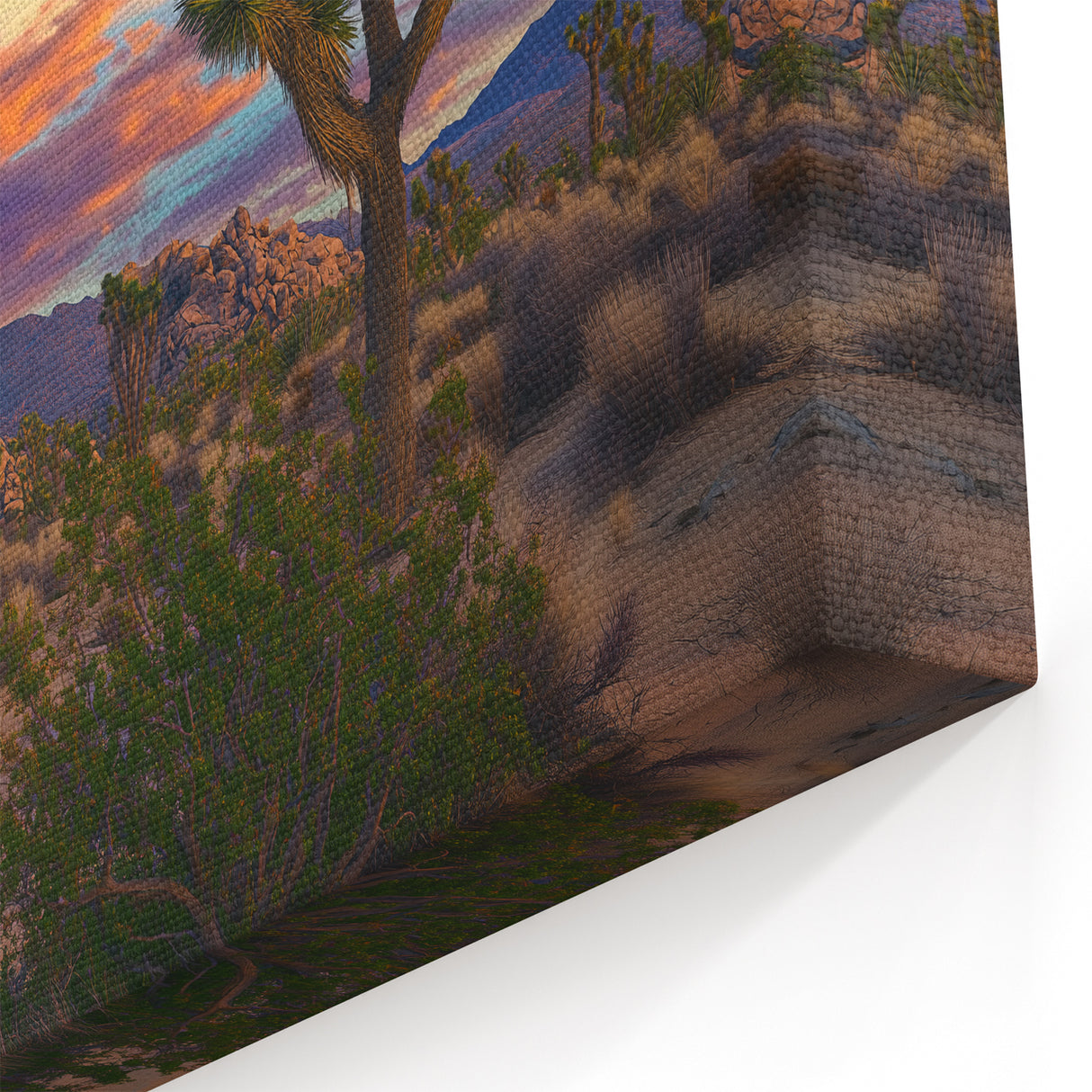 Sunset Over Desert Landscape with Joshua Trees – Fields Panorama Wall Decor