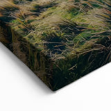 Scenic Fields Framed Art - Horse in Rolling Landscapes