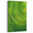 Rolling Fields Canvas Art - Green Terraced Landscapes
