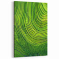 Rolling Fields Canvas Art - Green Terraced Landscapes