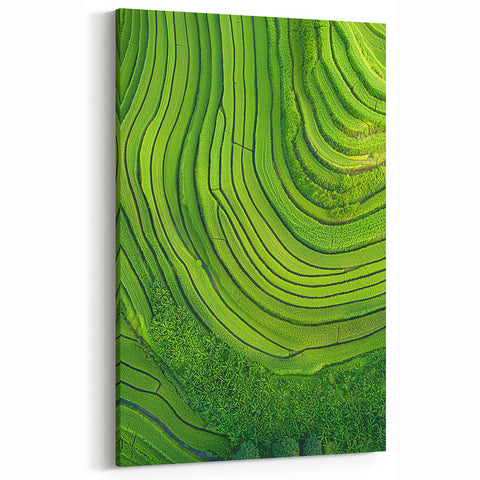 Rolling Fields Canvas Art - Green Terraced Landscapes