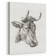 Romanticism Art Print: Head of a Cow - Timeless Sketch by Jean Bernard
