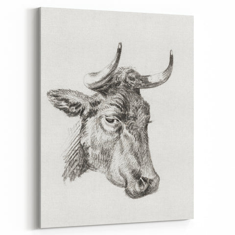 Romanticism Art Print: Head of a Cow - Timeless Sketch by Jean Bernard
