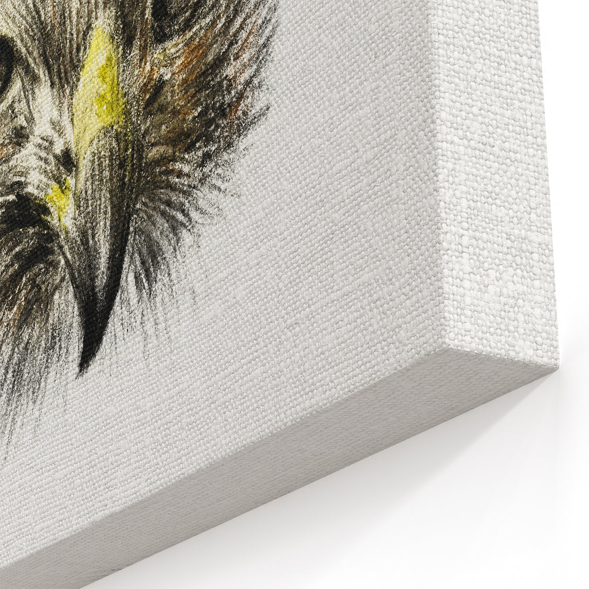 Head of a Bird of Prey by Jean Bernard - Romantic Wildlife Art Print