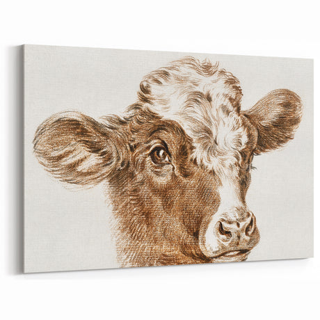 Romanticism Art: Head of a Cow - Historical Animal Sketch Canvas Print