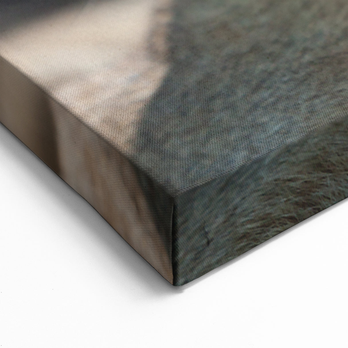 Cougar Canvas Art - Stunning Wildlife Print for Elegant Home Decor