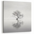 Acrylic Dining Room Artwork - Black and White Nature Reflection