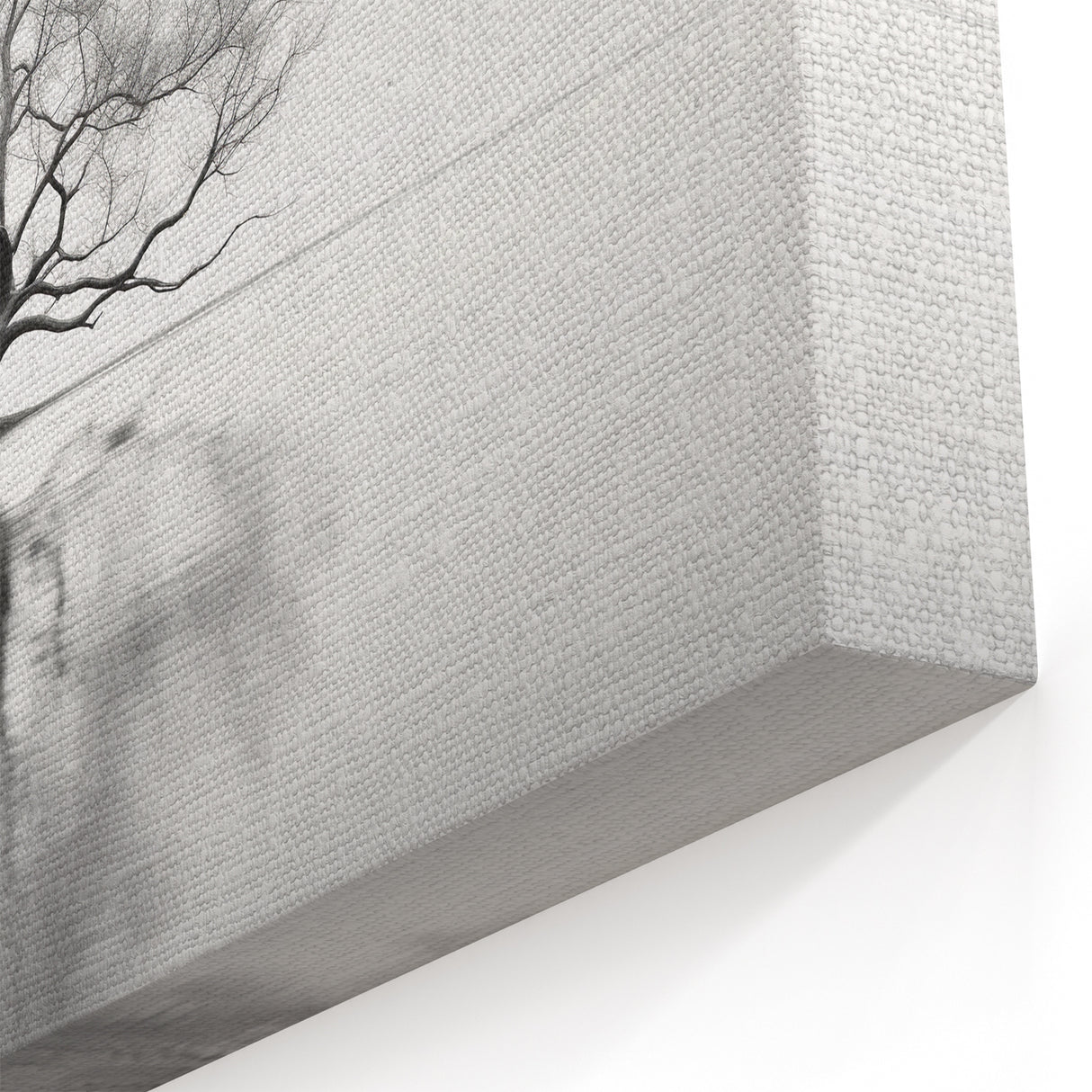 Acrylic Dining Room Artwork - Black and White Nature Reflection