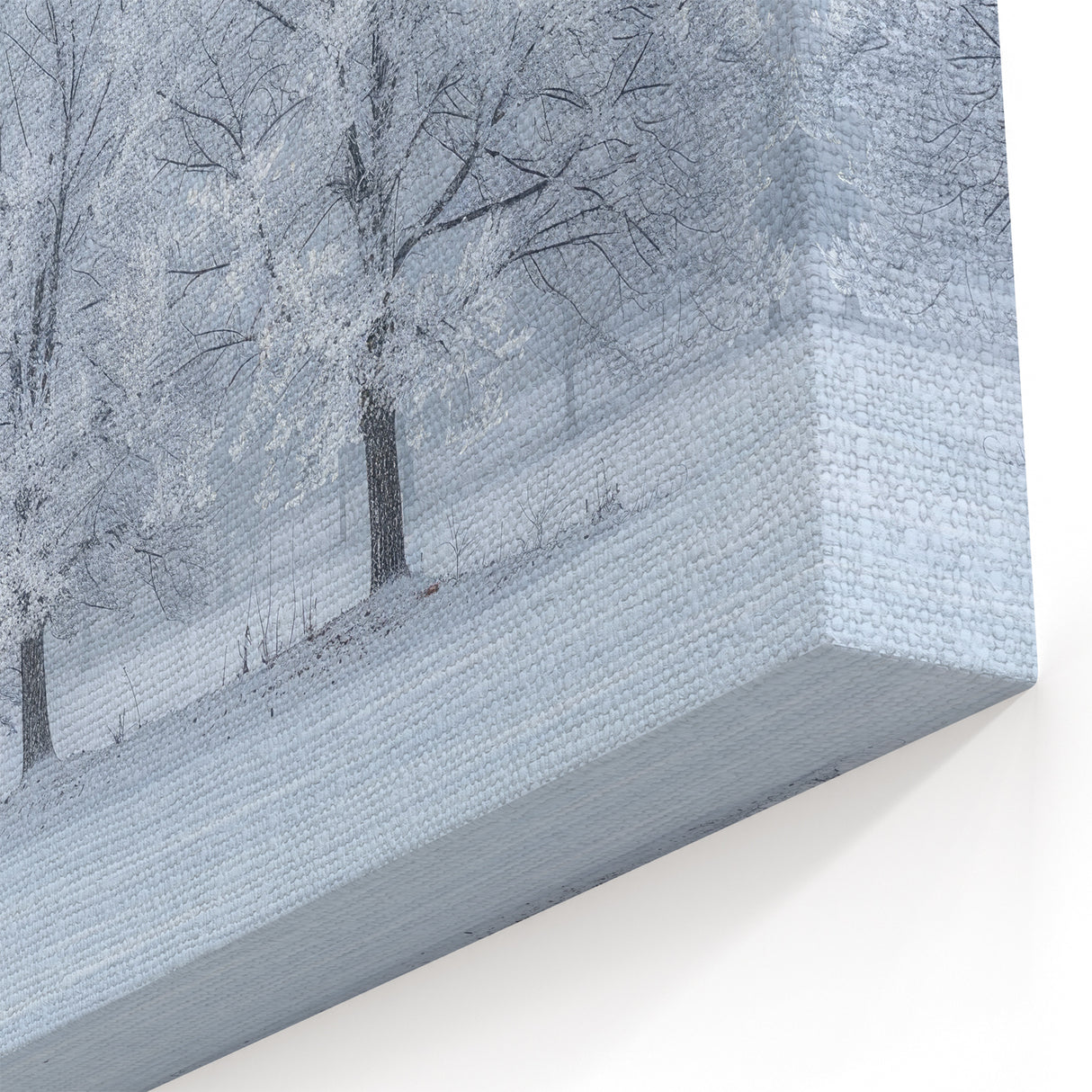 Winter Wonderland Office Wall Art – Modern Corporate Decor