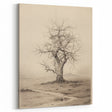 Vintage Tree Sketch Art – Classic Monochrome Nature Wall Print
