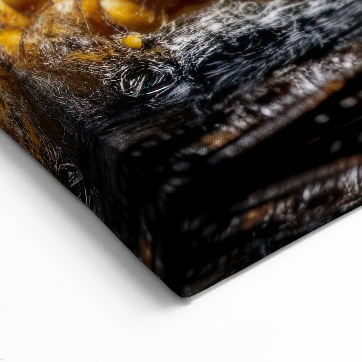 Golden Corn Splash Art – Dynamic Kitchen Food Photography Print