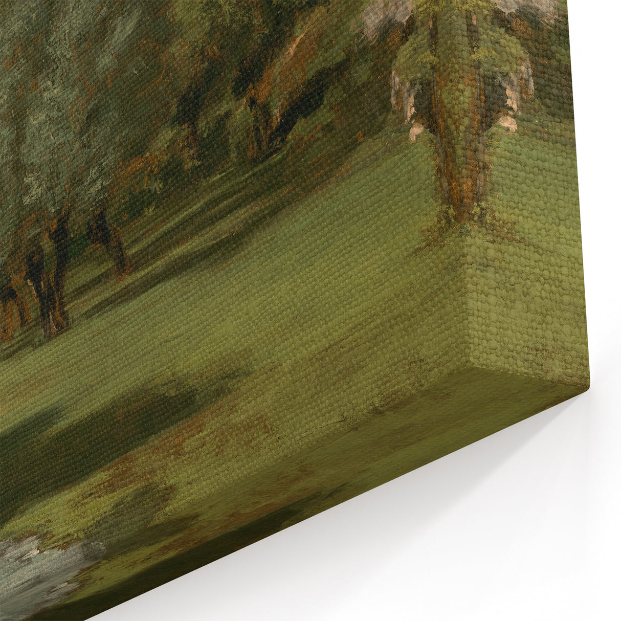 Vintage Olive Tree Art - Rustic Countryside Canvas