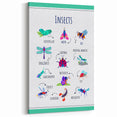 Insects Kids Educational Wall Art – Learning Poster