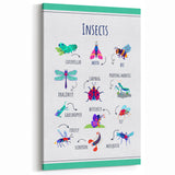 Insects Kids Educational Wall Art – Learning Poster