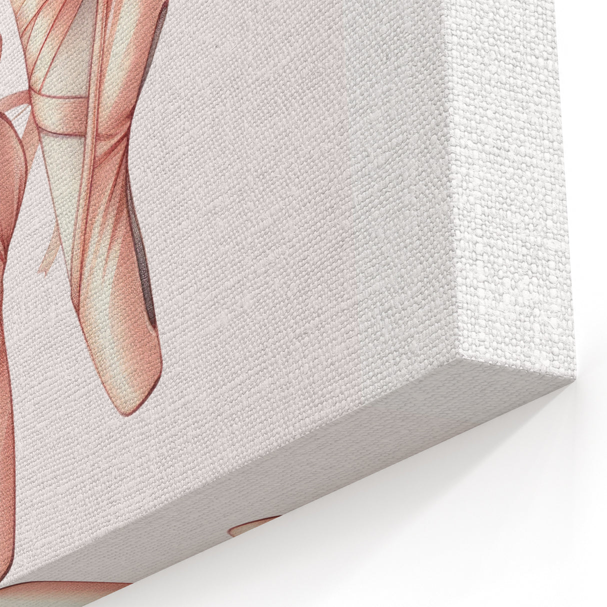 Ballet Pointe Shoes Kids Room Print - Girls Bedroom Wall Art
