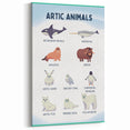 Arctic Animals Kids Educational Wall Art - Learning Print