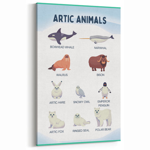 Arctic Animals Kids Educational Wall Art - Learning Print