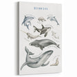 Ocean Life Kids Educational Wall Art - Learning Poster for Classrooms