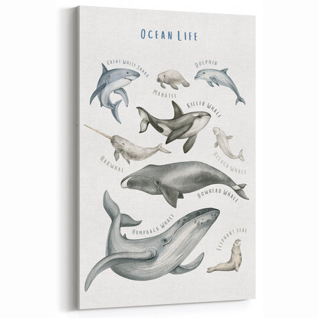 Ocean Life Kids Educational Wall Art - Learning Poster for Classrooms