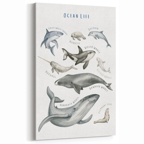 Ocean Life Kids Educational Wall Art - Learning Poster for Classrooms