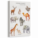 Herbivores Kids Educational Wall Art - Learning Poster for Classrooms