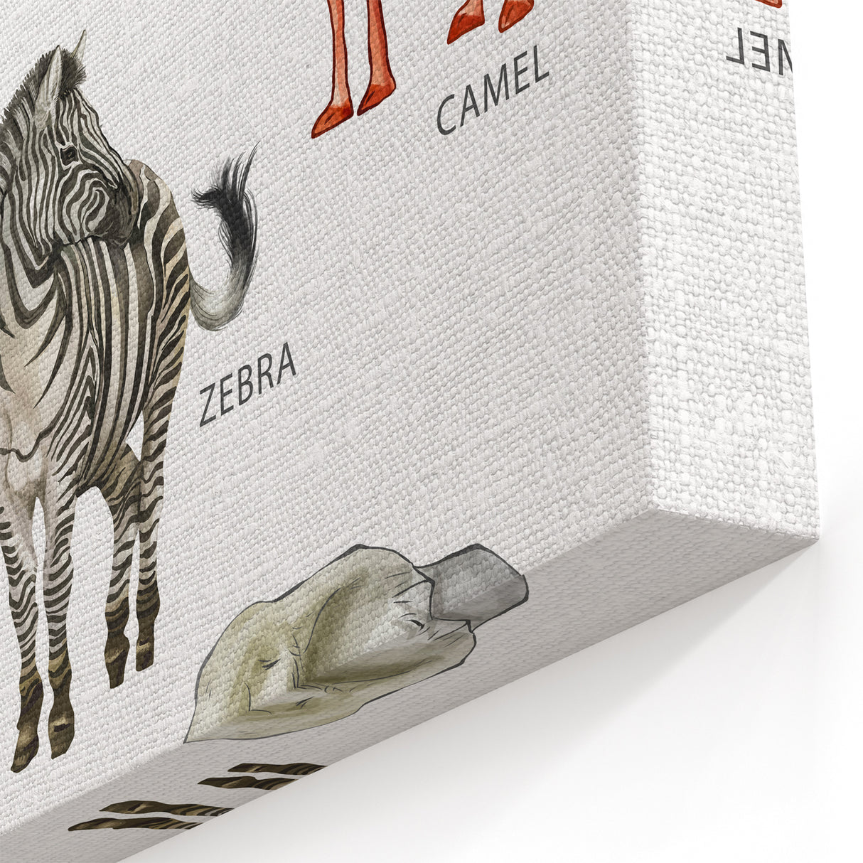 Herbivores Kids Educational Wall Art - Learning Poster for Classrooms