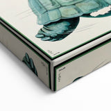 Retro Guinness Turtle Poster - Vintage Bar Wall Art Print