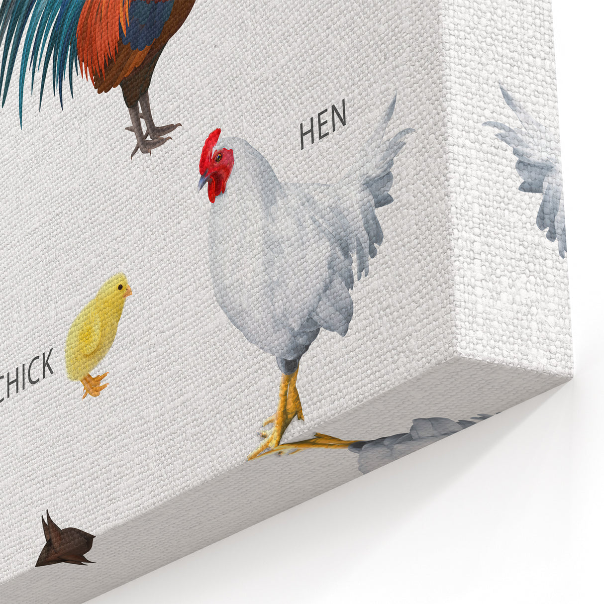 Farm Animals Kids Educational Wall Art - Learning Poster for Classrooms