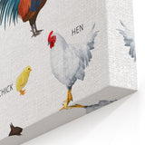 Farm Animals Kids Educational Wall Art - Learning Poster for Classrooms