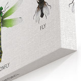 Insects Kids Educational Wall Art - Learning Poster for Classrooms