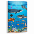 Underwater Marine Life Educational Wall Art - Kids' Learning Poster