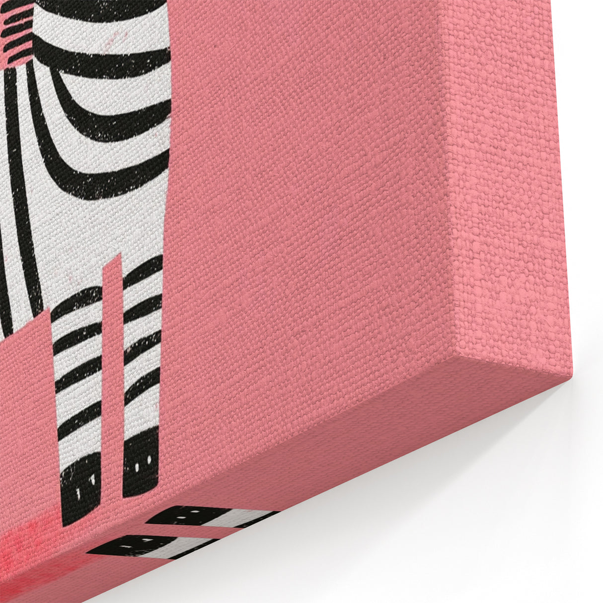 Adorable Zebra Wall Art - Girls Room & Nursery Animal Decor