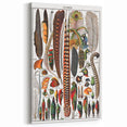 Vintage Bird Feathers Illustration - Nature Elements Wall Art Print