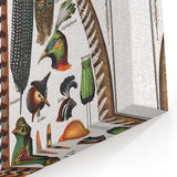 Vintage Bird Feathers Illustration - Nature Elements Wall Art Print