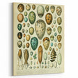 Vintage Egg Illustration - Nature Elements Wall Art Print