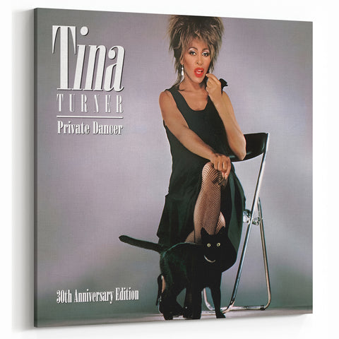 Retro Tina Turner Private Dancer Poster - Vintage Music Art