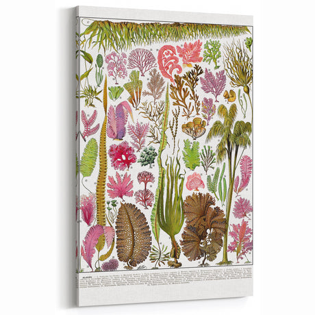 Botanical Art Prints – Vintage Botanical Illustrations for Home Decor