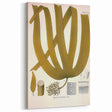 Vintage Botanical Illustration of Laminaria Plant Art Print