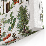 Vintage Botanical Illustration of Diverse Trees Art Print
