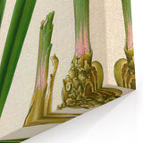 Botanical Art Prints - Vintage Alpinia Officinarum Illustration Art