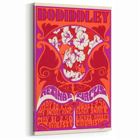 Vintage Bo Diddley Retinal Circus Poster 1975 - Retro Music Art