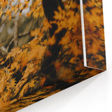 Golden Fall Foliage Wall Art – Autumn Tree Canvas Print