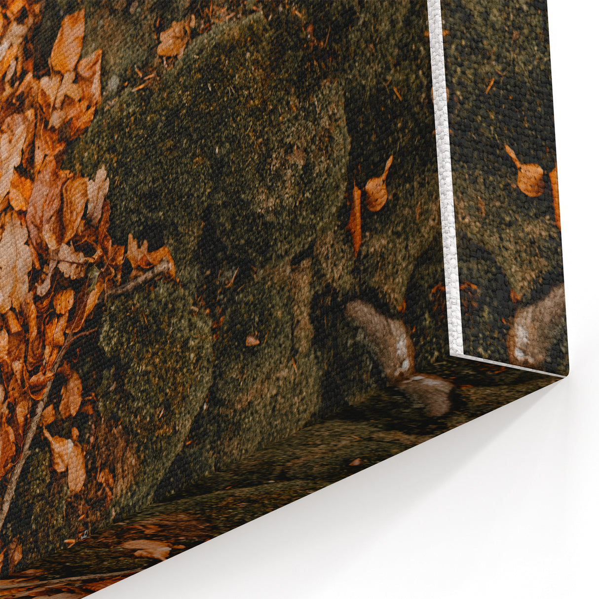 Fallen Autumn Leaves – Fall Art Prints, Autumn Canvas Art
