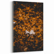 Autumn Mushrooms – Fall Canvas Art, Autumn Wall Decor