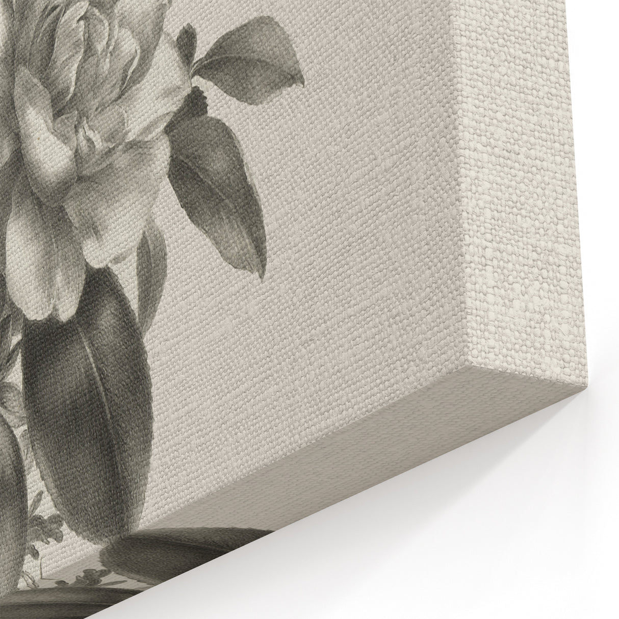 Vintage Botanical Rose Art Print – Black and White Botanical Wall Art